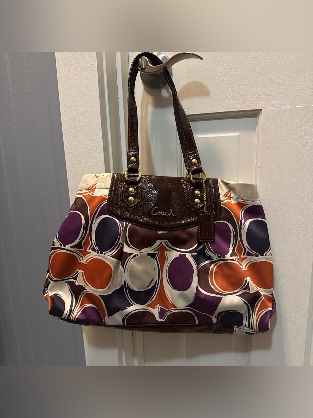 Coach Ashley Signature Caryall